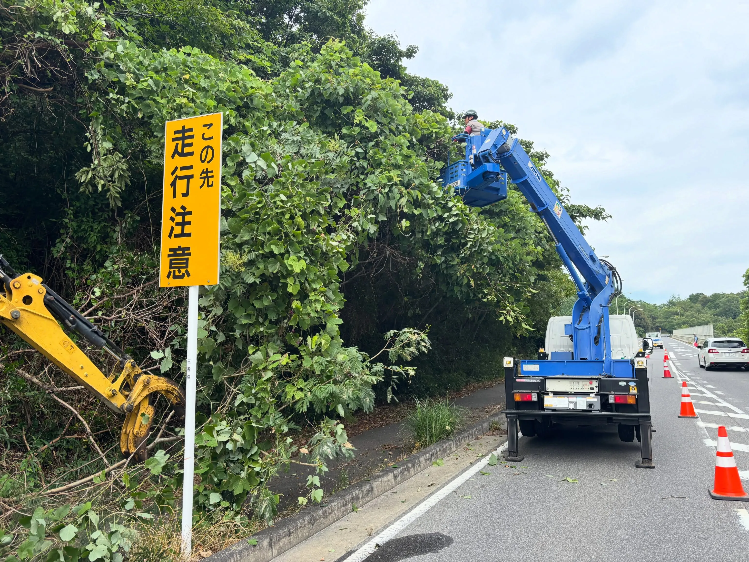 県道松阪青山線にて、支障木の伐採作業を行いました🌲